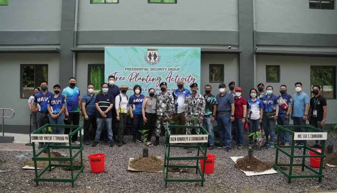 Balitbitan and Balayong trees blooms at PSG